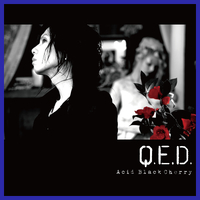 Q.E.D. オリジナルカラオケ／Acid Black Cherry｜音楽ダウンロード