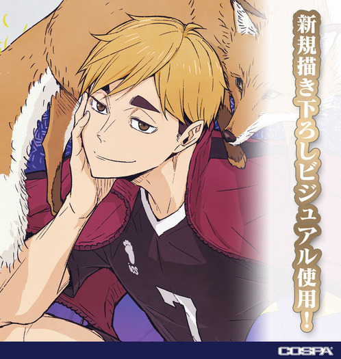 ハイキュー!!」宮兄弟が狐とツーショット！ 描き下ろし“飛翔”イラスト