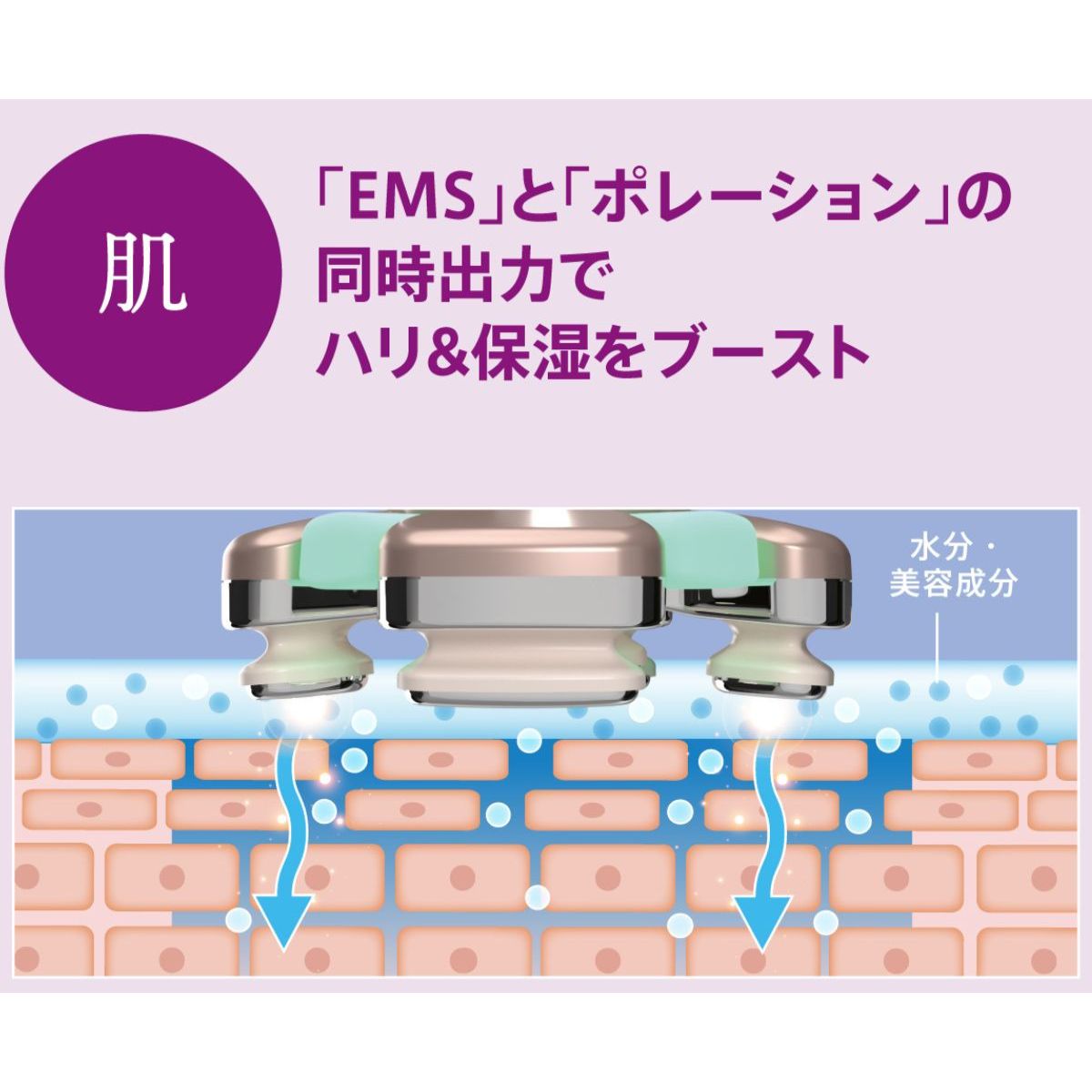 ゾーガンキン ブルーム CL-OK-ZKBM｜ZOGANKIN – CHOUCHOU シュシュ