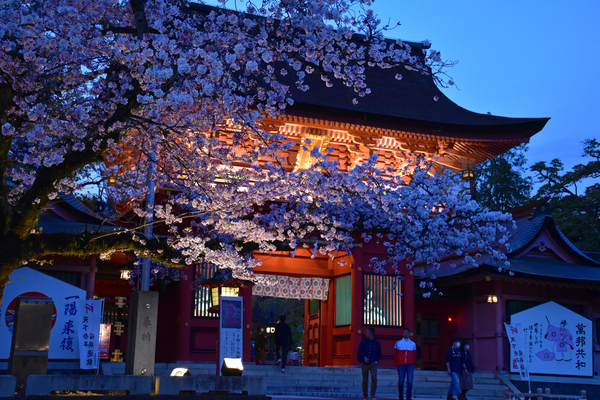 朝霧高原にて。｜Mt.FUJI View Spot!｜富士山｜chafuka