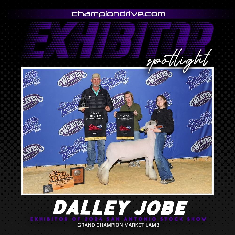 Dalley Jobe - Championdrive.com