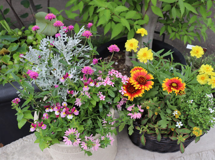 お店について - ガーデンフラワーショップ シャン・ド・フルール