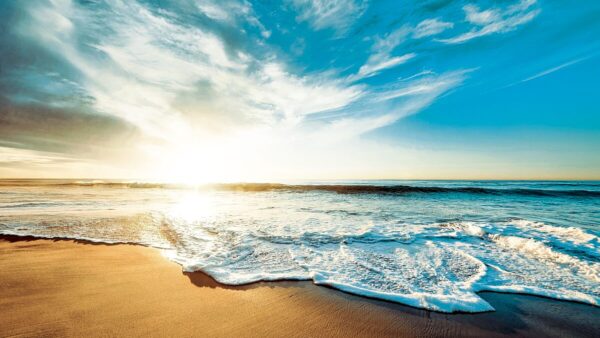 CHANSONNIER | シャンソン化粧品