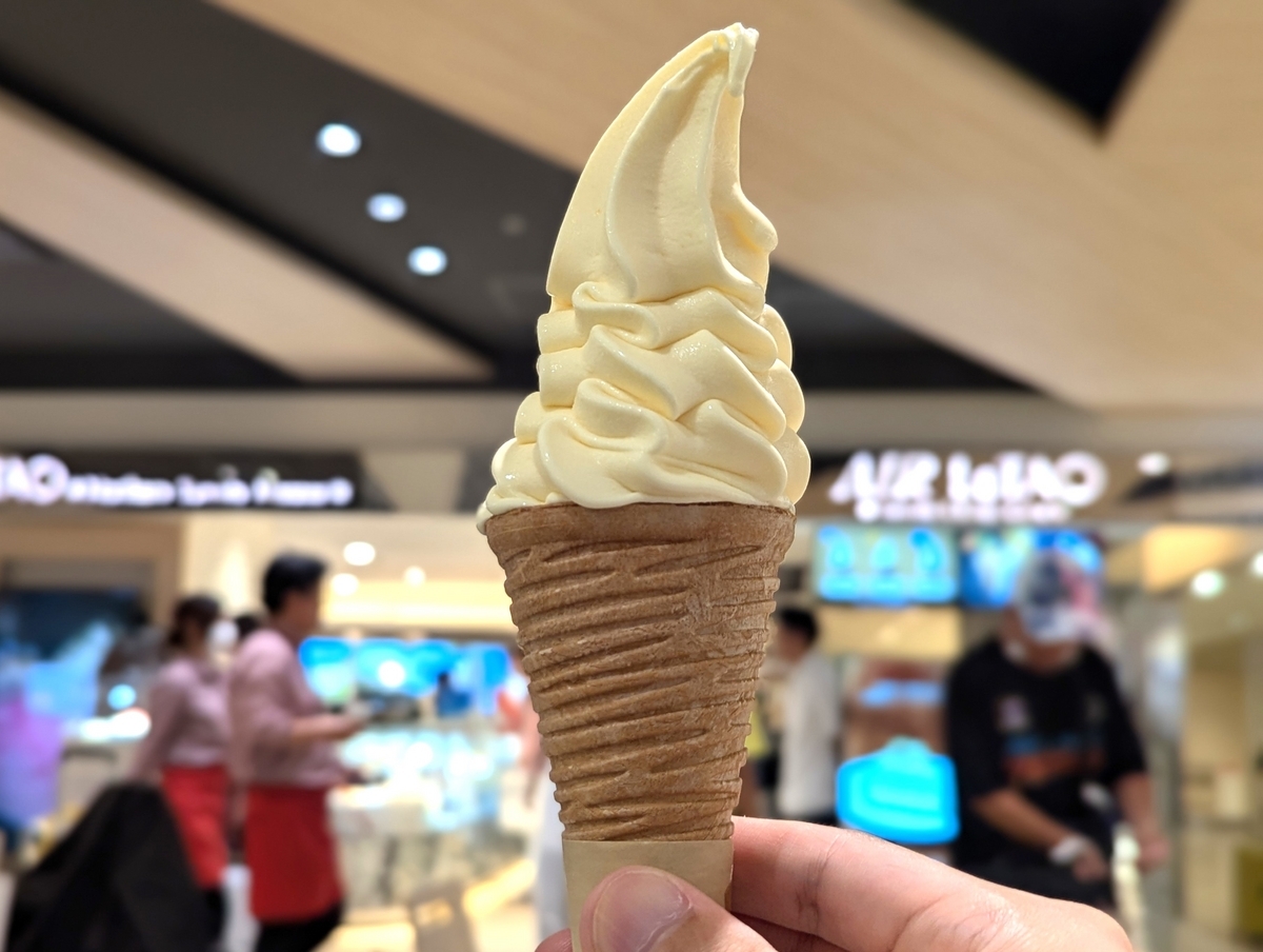 新千歳空港のルタオでチーズアイスクリーム「サンクフロマージュ」を実