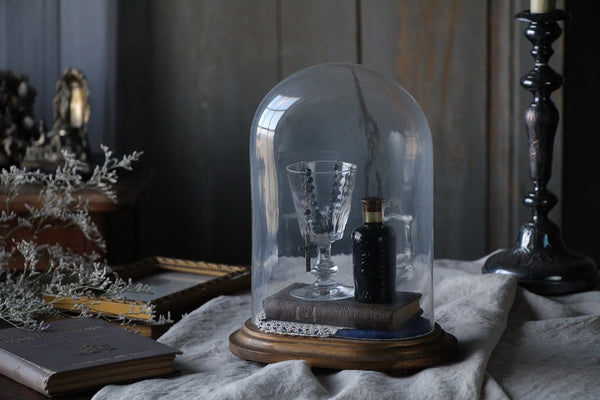 ナポレオントワ（3世）ガラスドーム（高さ28cm） フランスアンティーク