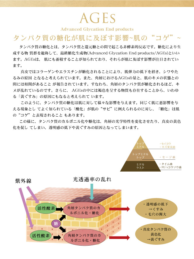 パールブラン AG リニューイング クリーム｜Cheryl