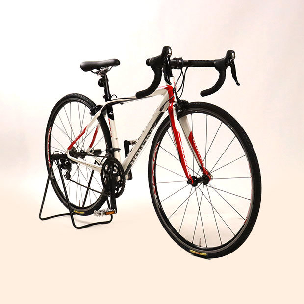 自転車図鑑】BRIDGESTONE ANCHOR RFX 8 EQUIPE ブリヂストン アンカー