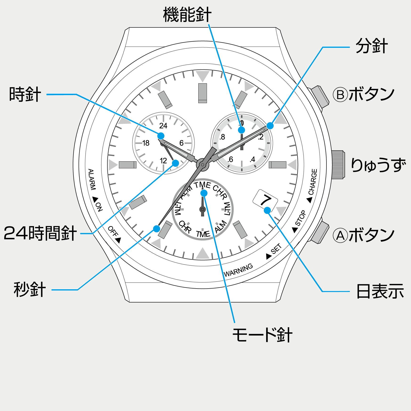 シチズンサポート
