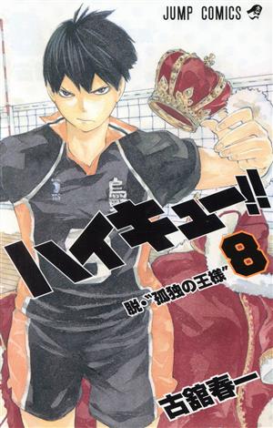 コミック全巻セット・まとめ買い】ハイキュー!!(全45巻)セット