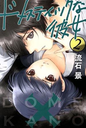 コミック全巻セット・まとめ買い】ドメスティックな彼女(全28巻)セット