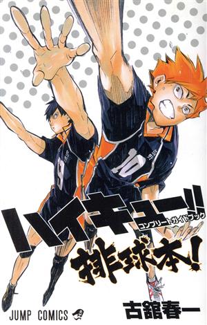 ハイキュー!! 10thクロニクル 通販｜ブックオフ公式オンラインストア