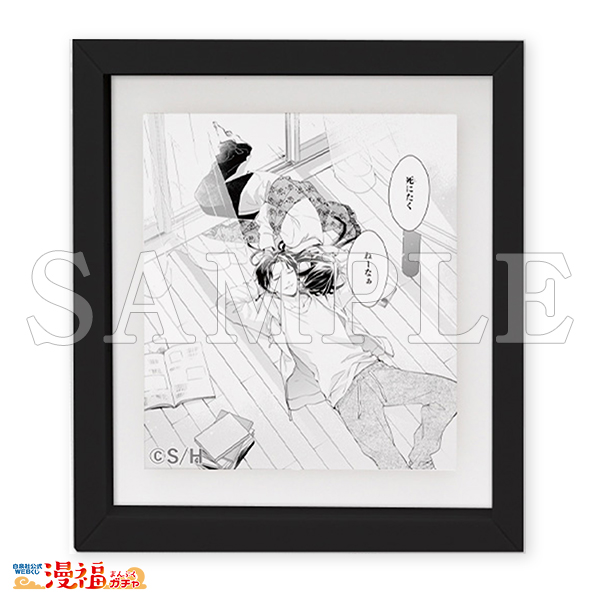 墜落JKと廃人教師ガチャ | 【漫福ガチャ】白泉社公式WEBくじ | 人気