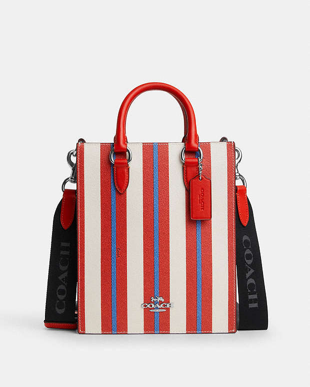 公式】コーチアウトレット | ディラン トート バッグ・ストライプ プリント