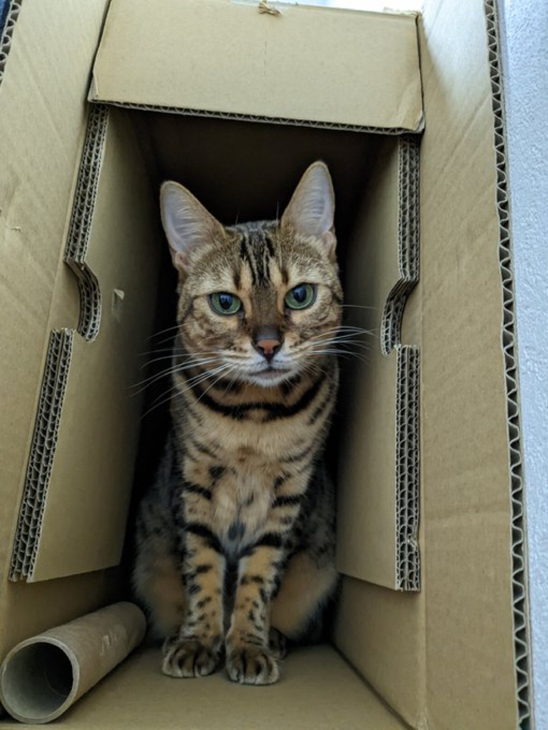 BUCK-TICK 櫻井敦司とくるみちゃんの部屋」#9：B-Tが京都にやってくる