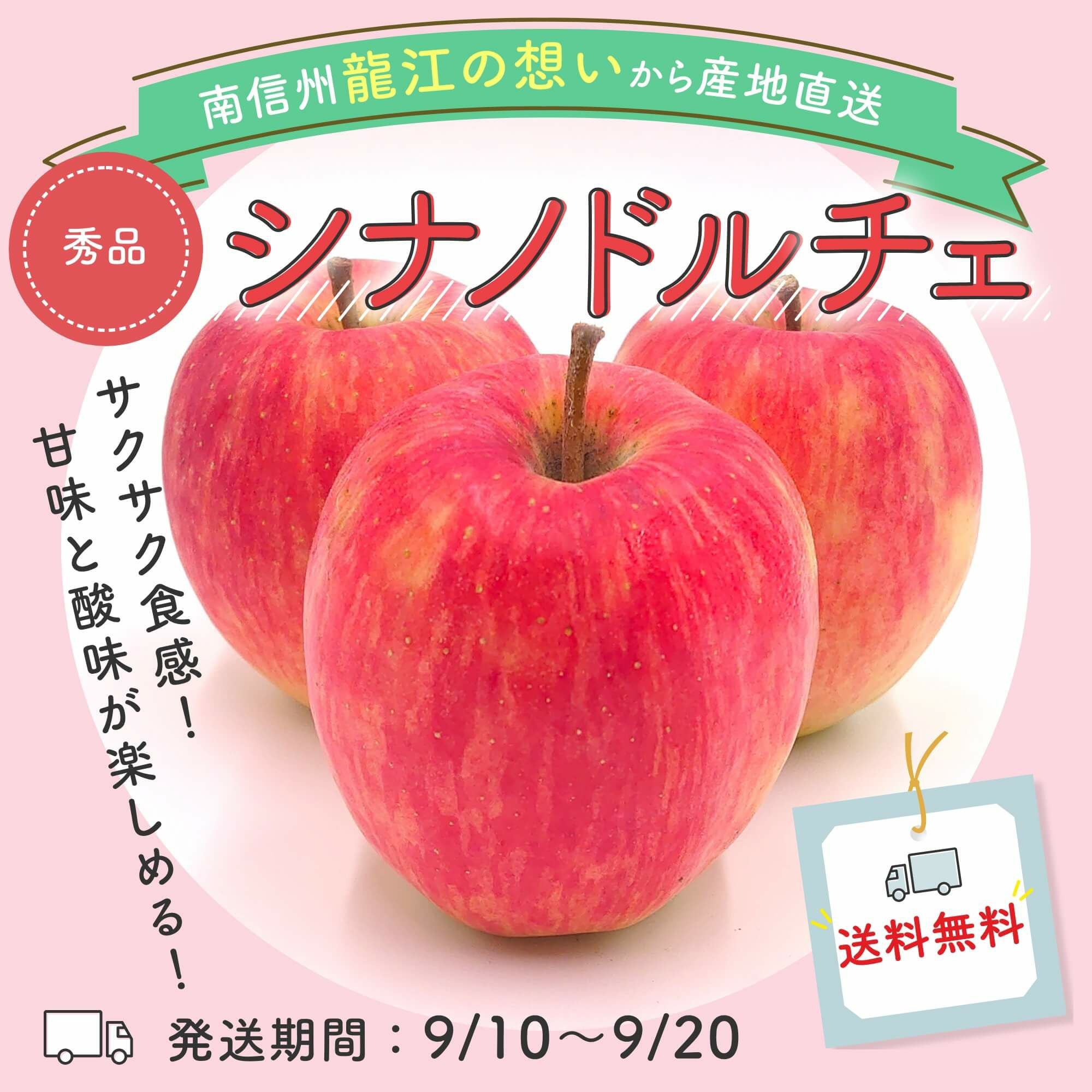 送料無料！】りんご シナノドルチェ 秀10kg | COCORO FARM VILLAGE
