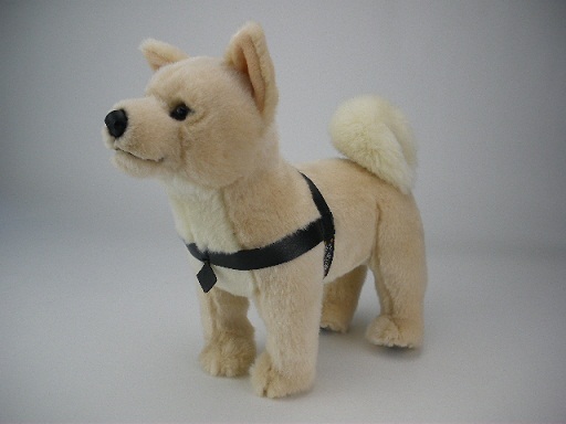 国立科学博物館のオリジナル ハチ商品: カロラータのSTAFF BLOG