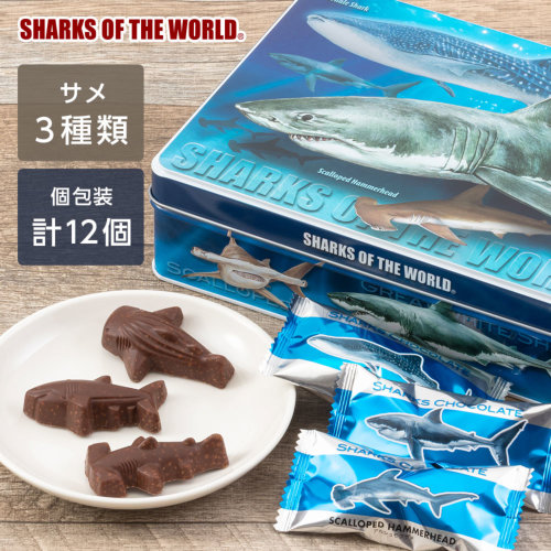 シャークス チョコレート（サメ 小麦パフ入 12個）│動物 カロラータ