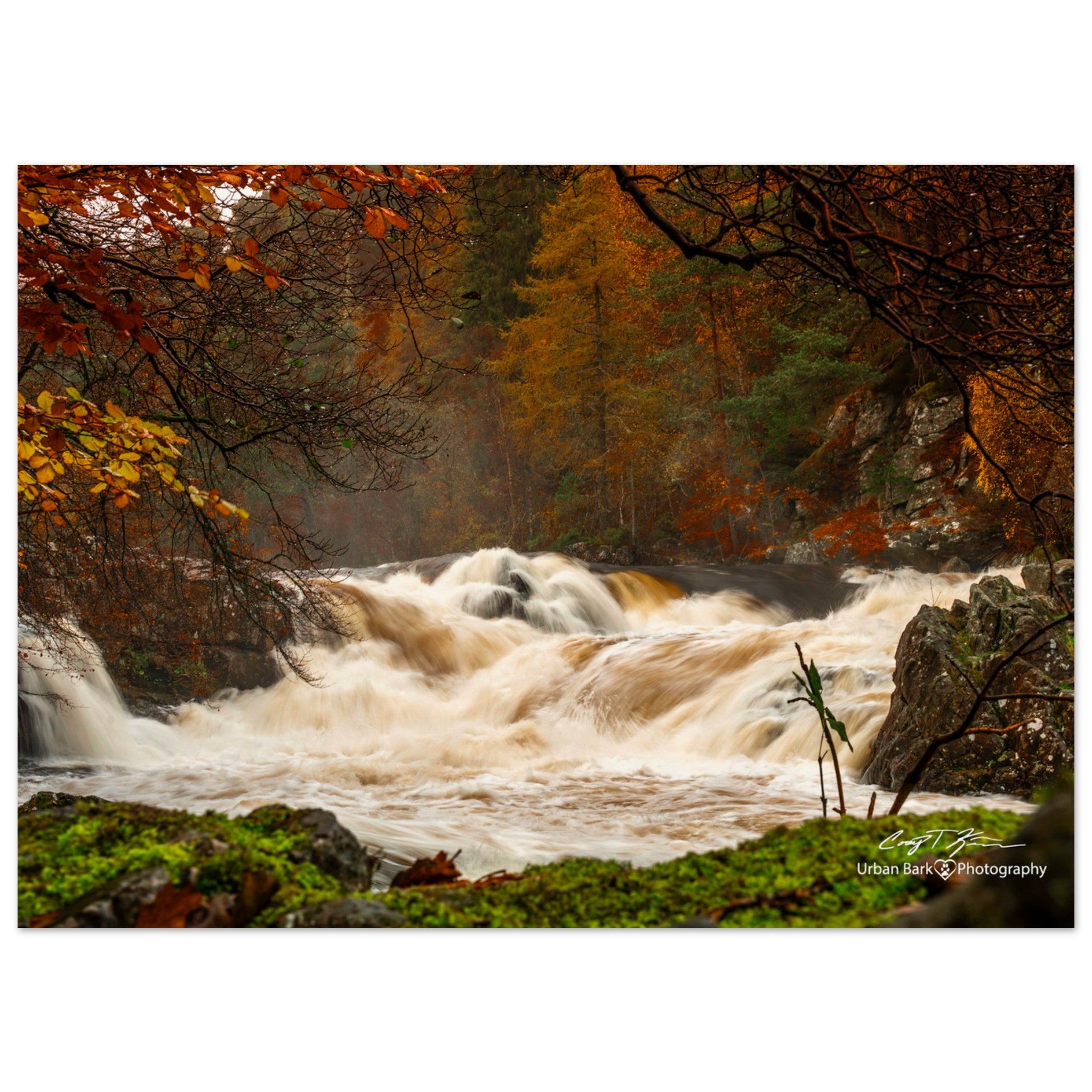 Autumn in Scotland - Museum-Quality Matte Paper Poster – Urban