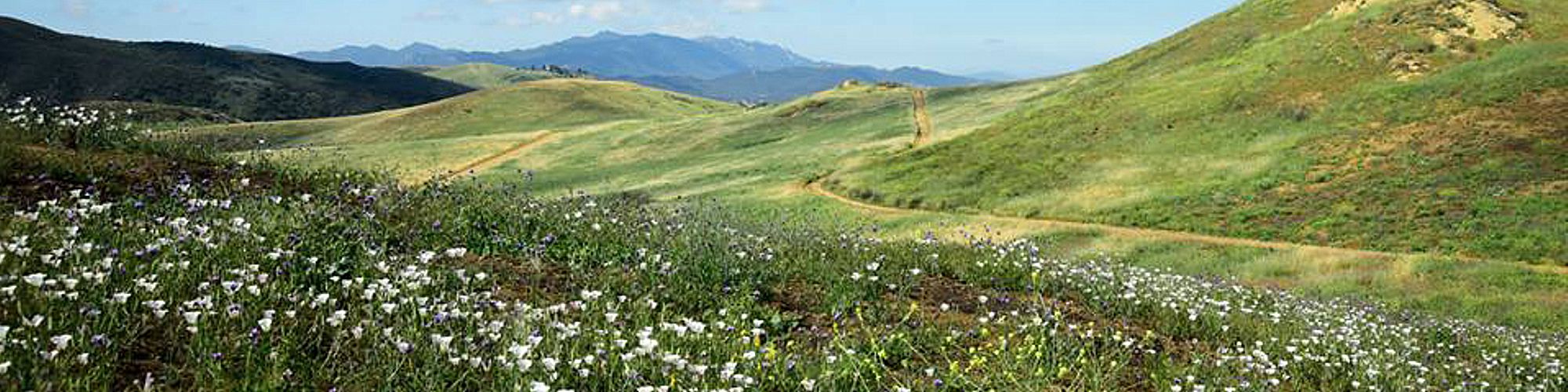 It's New Map Monday in Wildwood Park: Lizard Rock, Paradise Falls