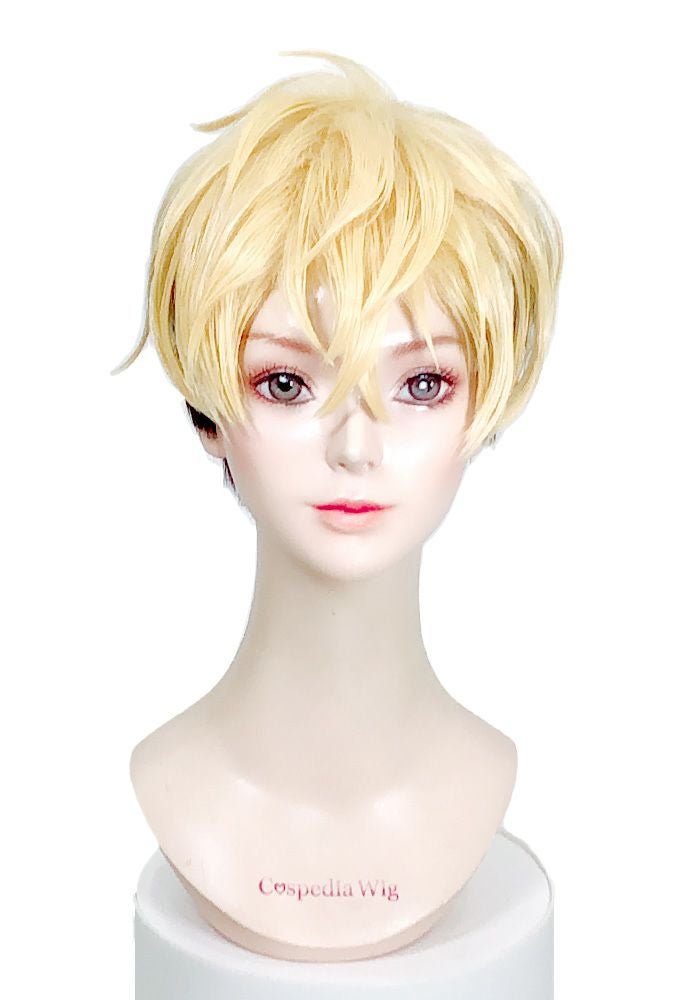 鬼滅の刃 錆兎 風 ウィッグ 鬼滅の刃 風 ウィッグ | コスプレウィッグ