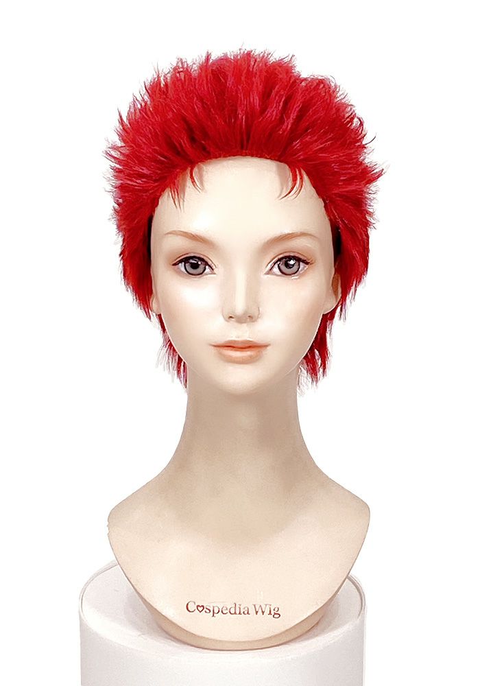 オーダリングウィッグ｜コスプレウィッグ・オーダーウィッグの通販専門