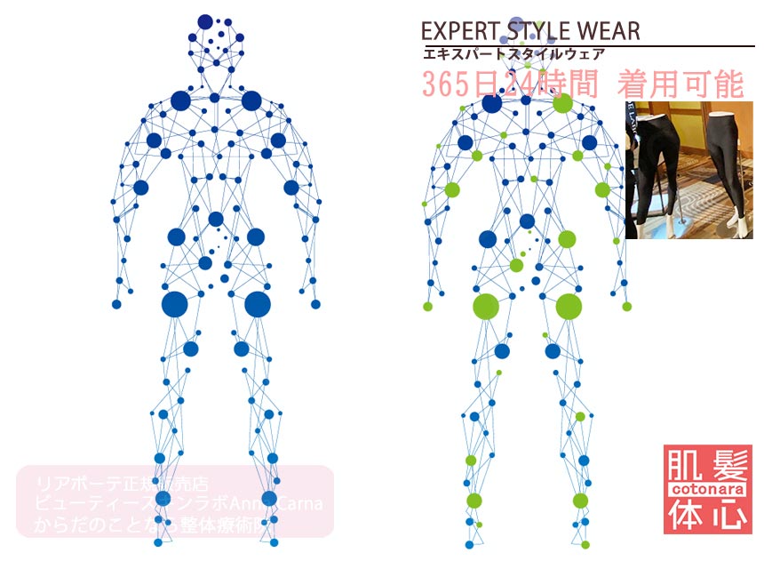 リアボーテ正規販売店】エキスパート スタイルウェア ご購入方法｜東京