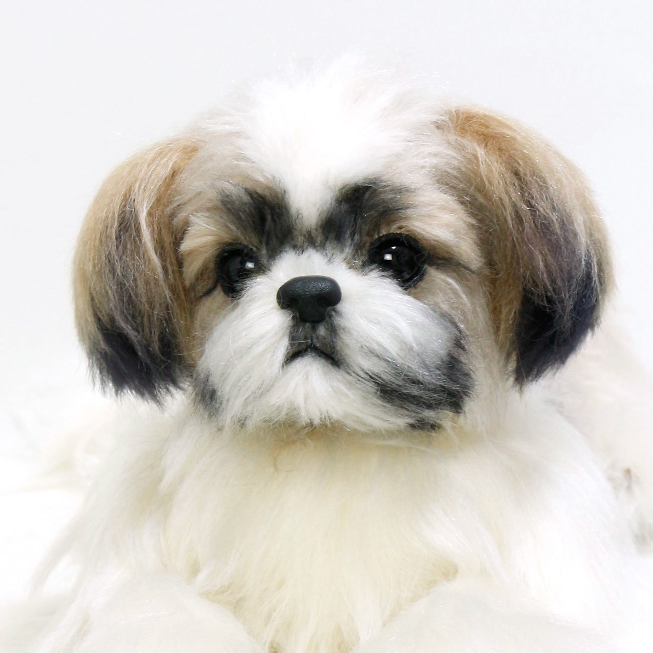 220430 ペコ シーズー - 【公式】ぬいぐるみのオーダーメイド。ペット