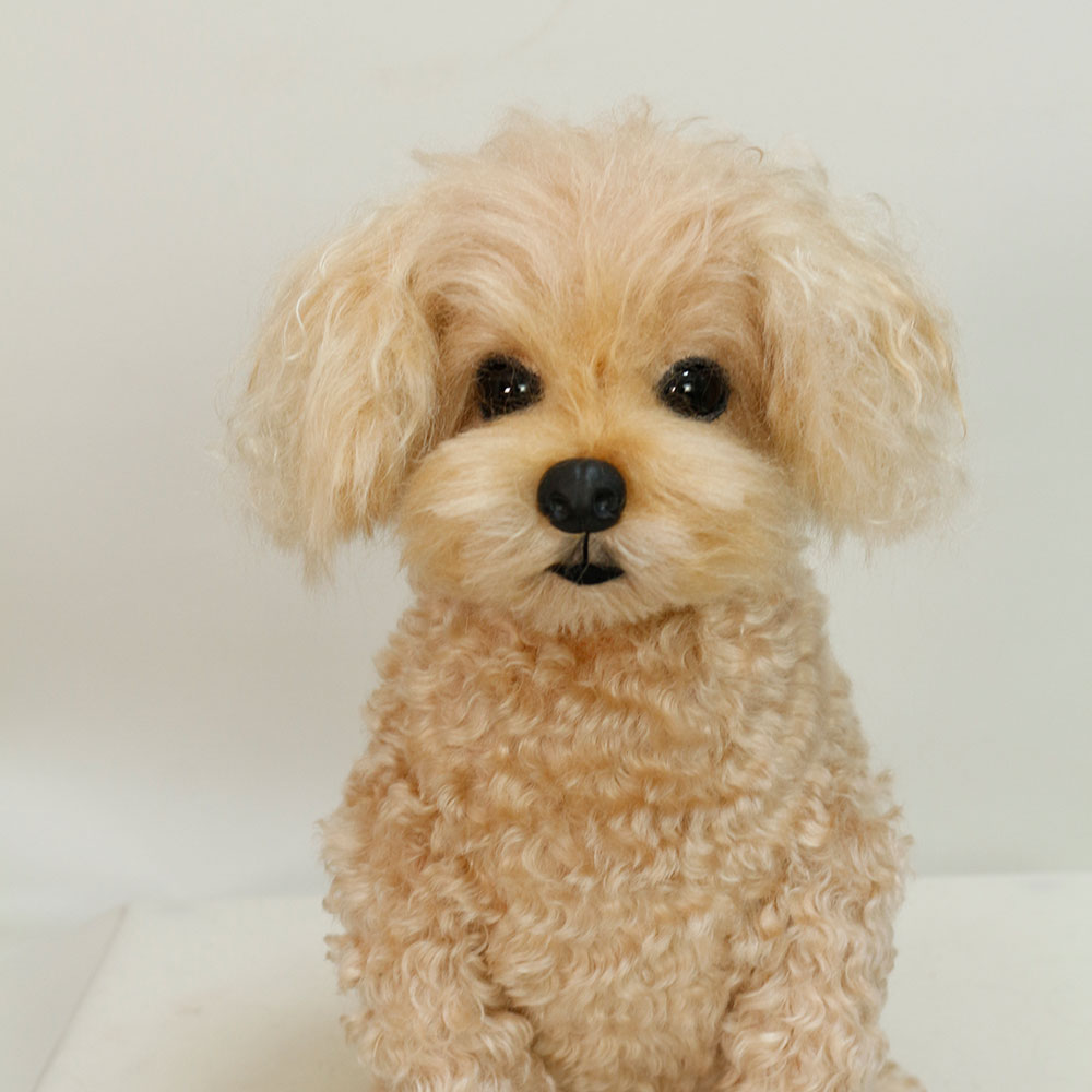 230720 ミントちゃん トイプードル - 【公式】ぬいぐるみのオーダー
