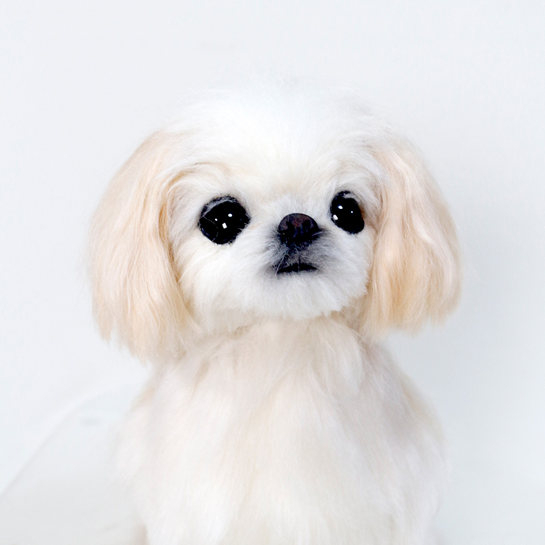 240715 トビーちゃん ペキニーズ - 【公式】ぬいぐるみのオーダー