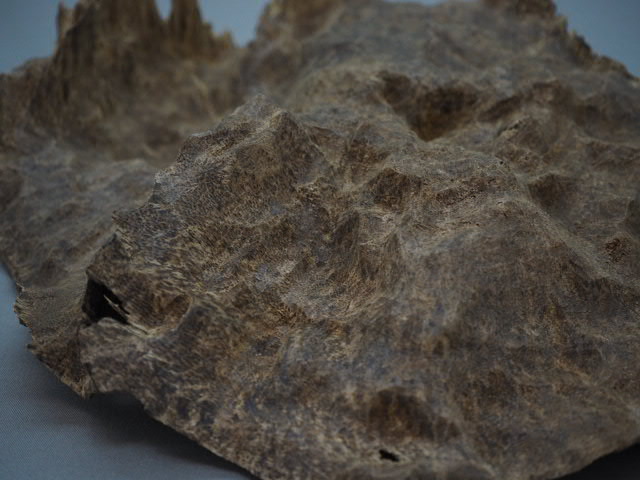 商品一覧|シャム沈香・伽羅・香木専門店 香琳(こうりん)