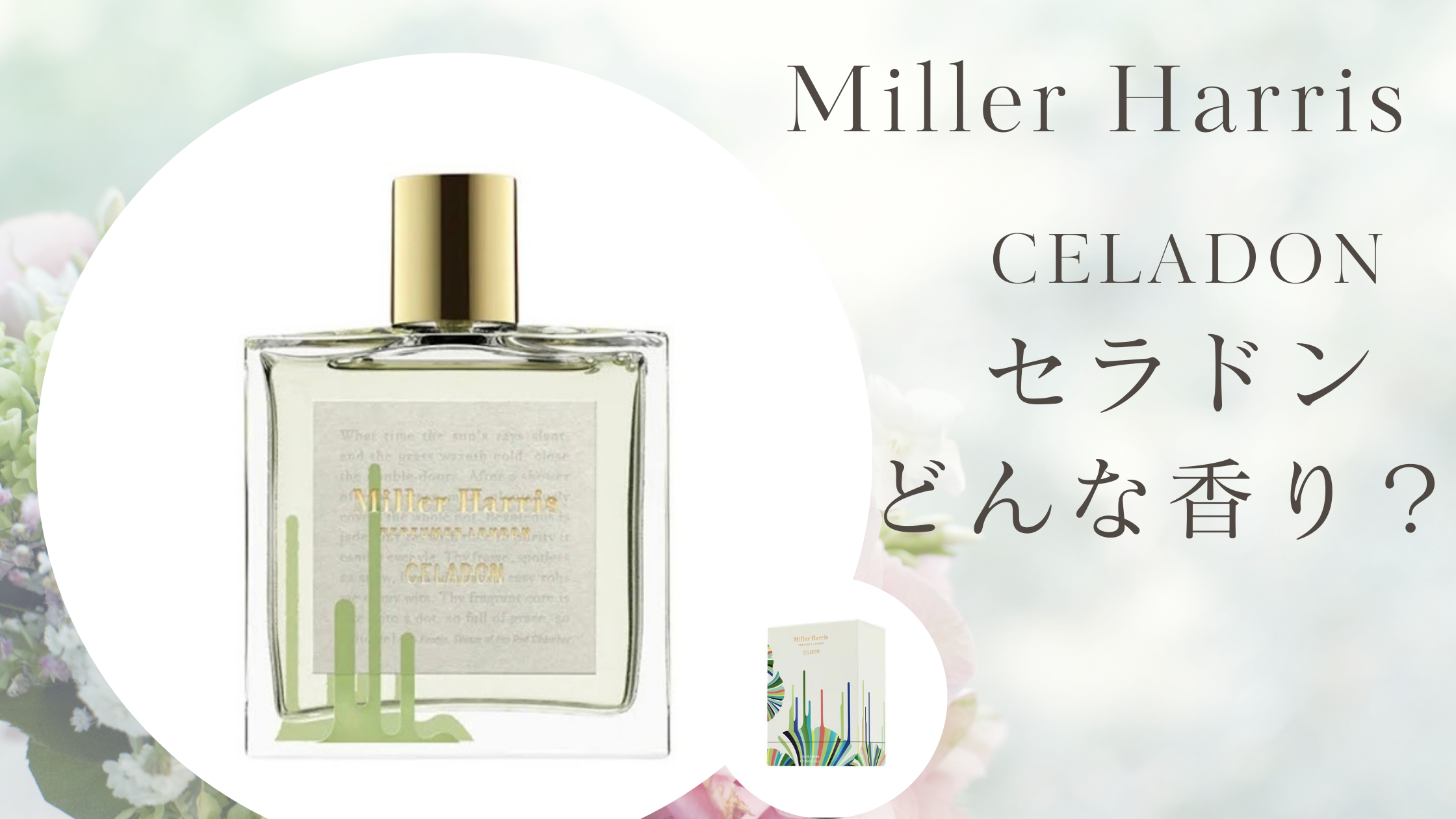 ミラーハリス2024新作【セラドン】どんな香り？ティートニックとの比較