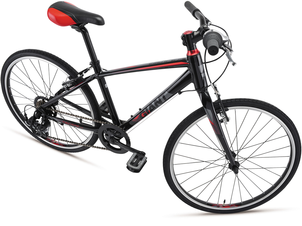 GIANT – サイクランドマスナガ