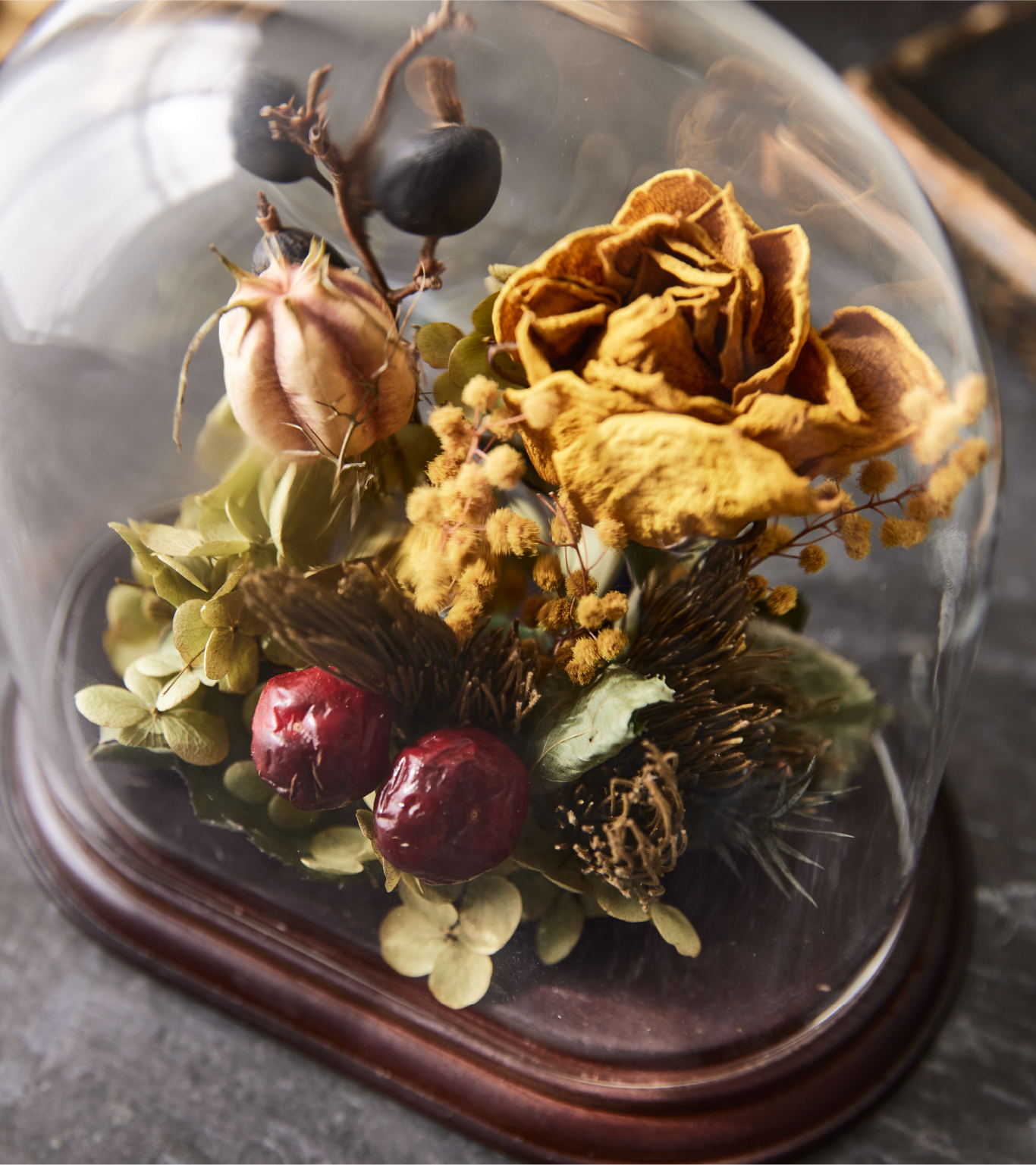 Oval Glass Dome with Wood｜CLAY - 花と人をツナグ