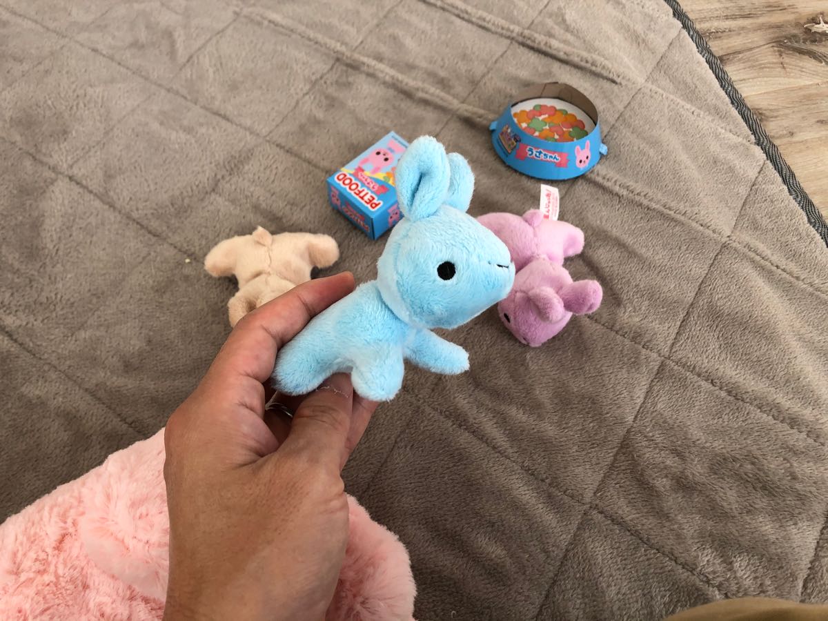 赤ちゃんが生まれるぬいぐるみ「うさぎ産んじゃった！」を娘の誕生日