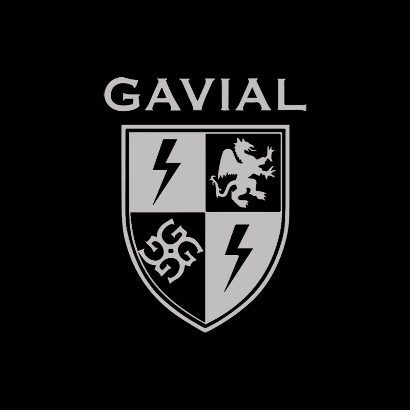 GAVIAL CONCEPT - CROSS ROAD BLUES