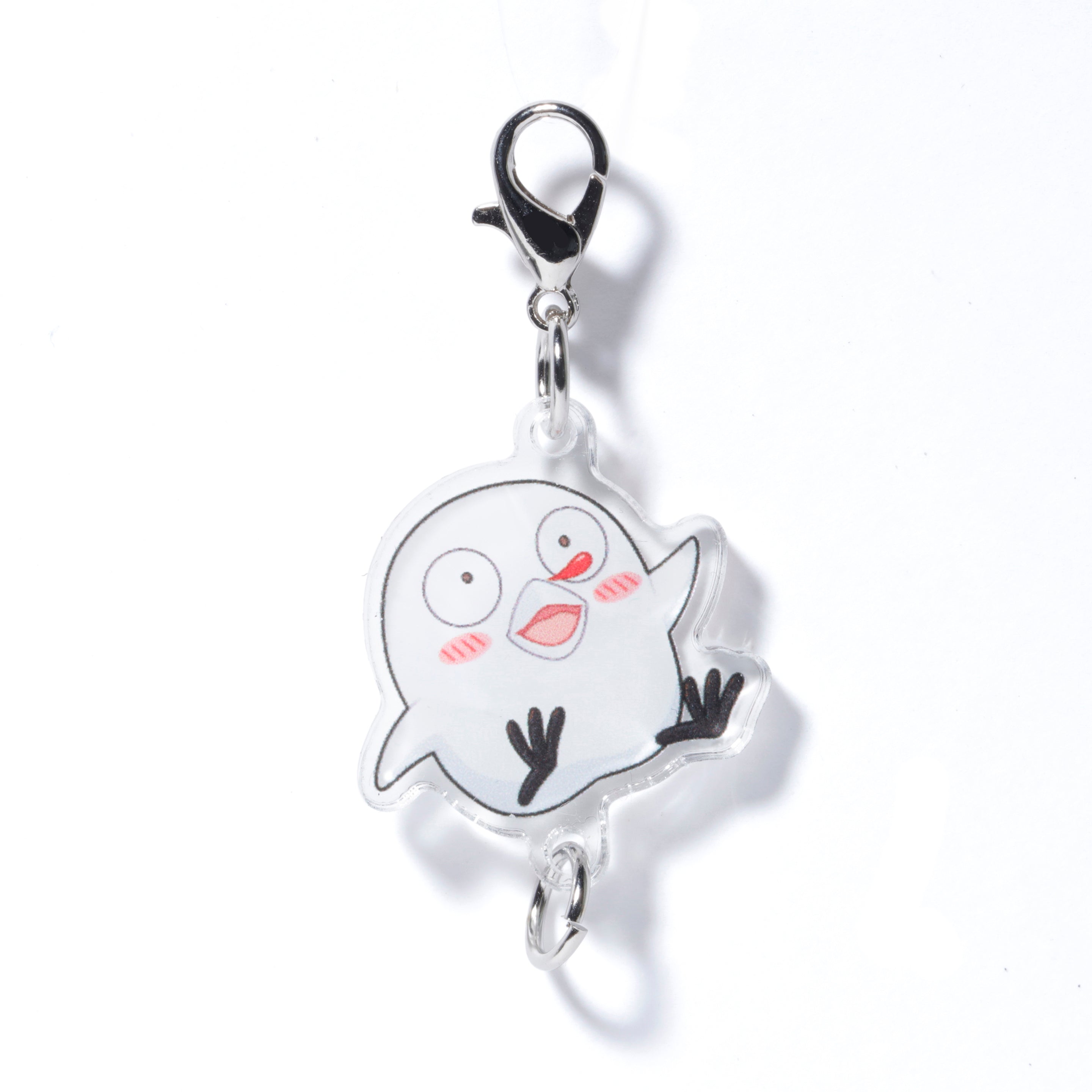 obo – CRAZY RACCOON