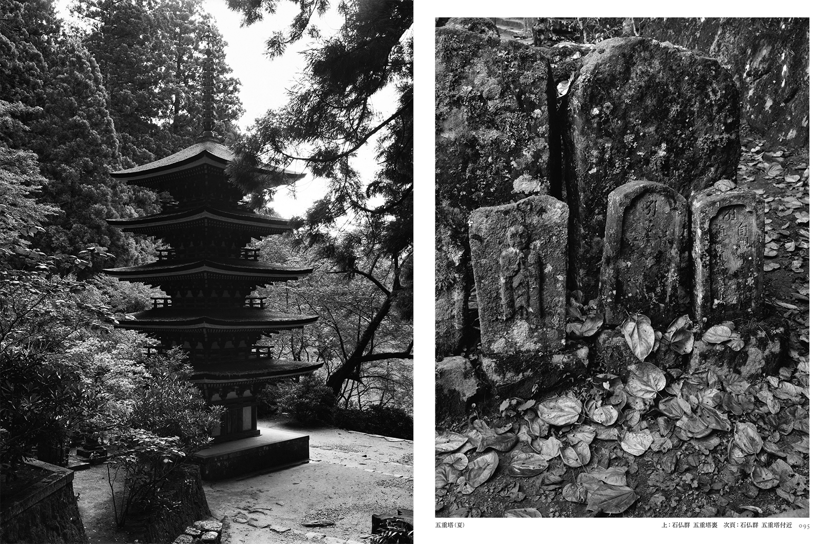 写真集『土門拳の室生寺』 | 株式会社クレヴィス