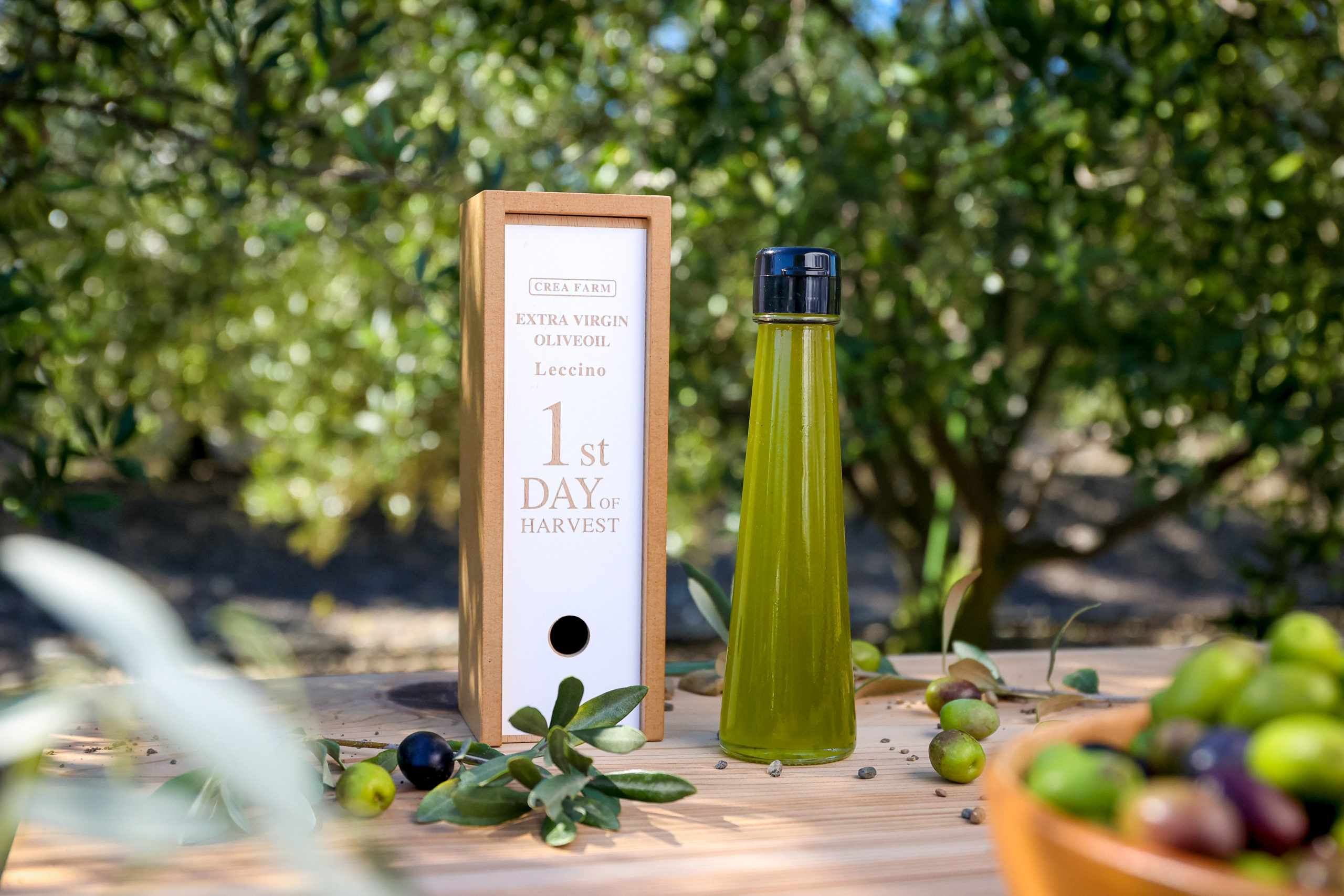 旬の時期だけに味わえる幻のオリーブオイル静岡産ノヴェッロ（新油）を