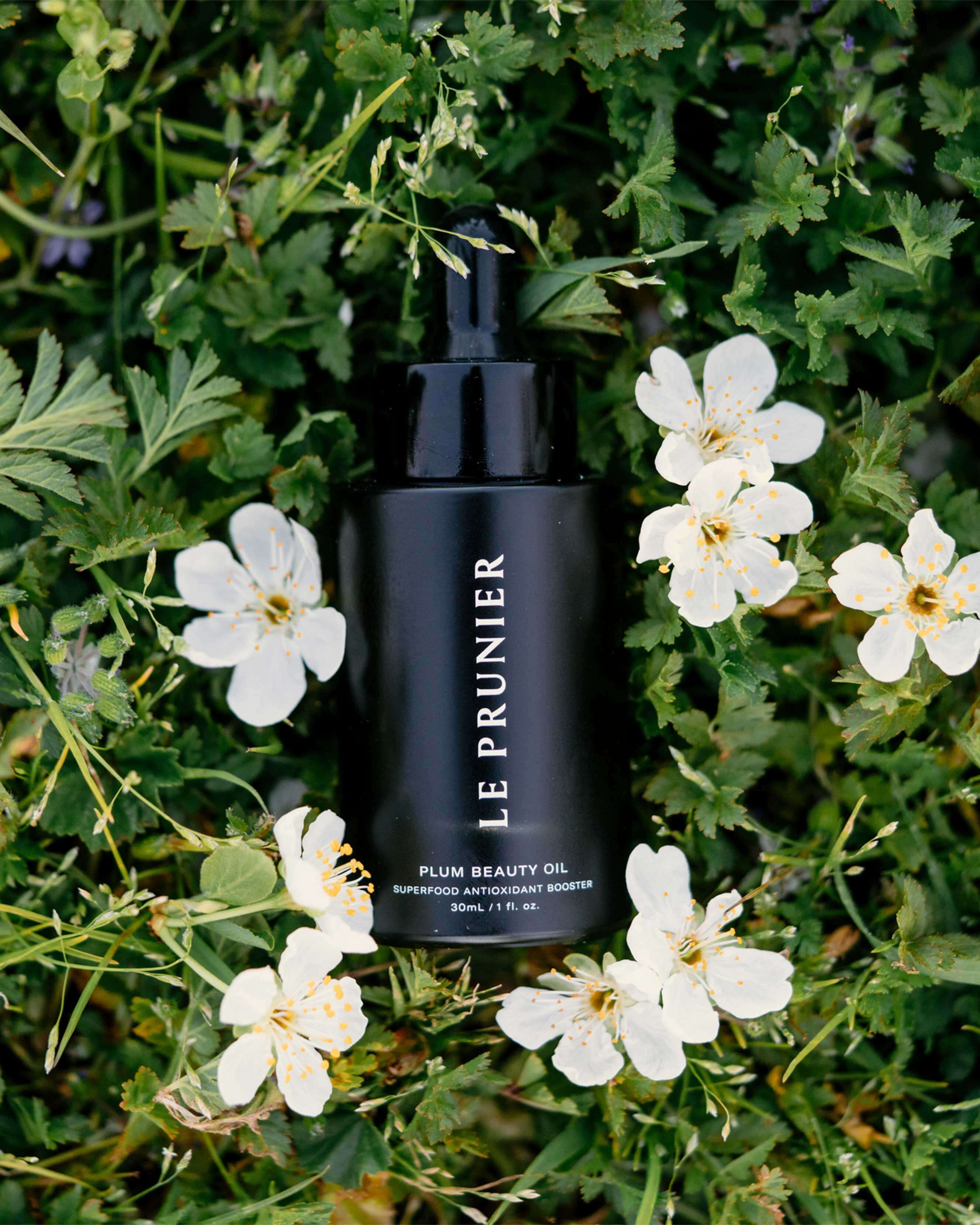 Le Prunier Plum Beauty Oil | Credo Beauty