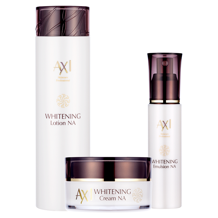 研究・開発体制 | 木下製薬株式会社