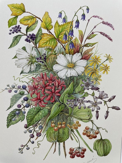 植物画 ボタニカルアート｜甲南山手カルチャーセンター｜セルバ甲南