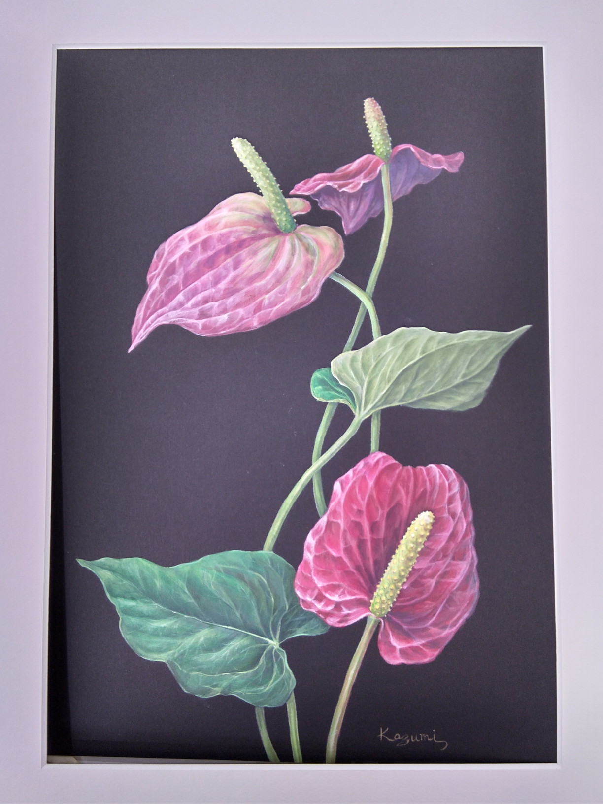 花を描く ボタニカルアート｜明石カルチャーセンター｜イオン明石