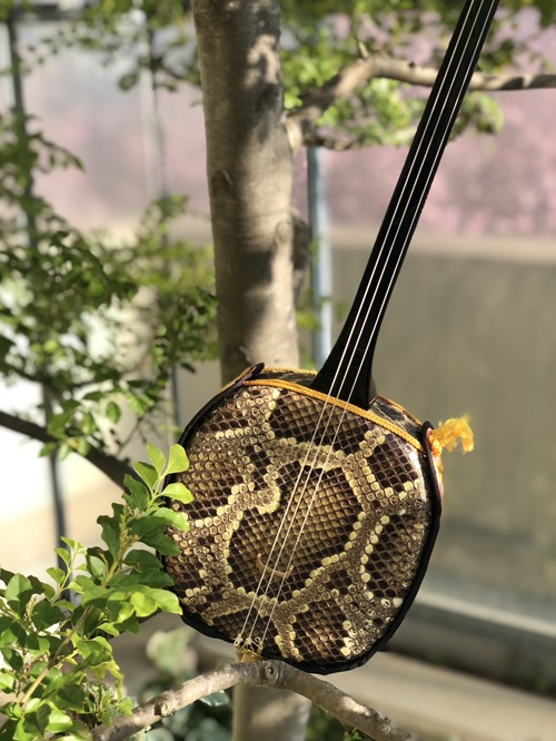 ハイサイ!身体に良い音♪ 沖縄三線｜柏の葉カルチャーセンター