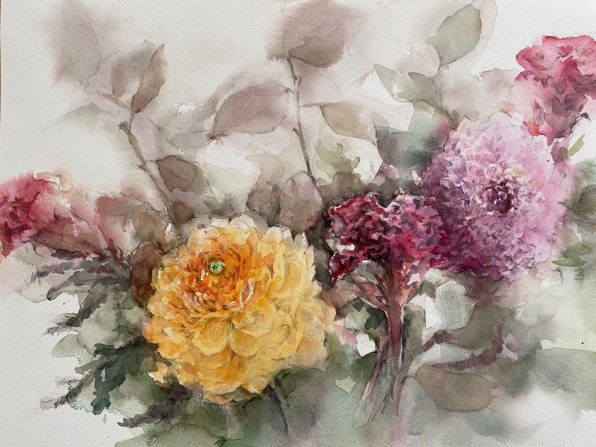 透明水彩画で描く 季節の花の水彩画｜多摩南大沢カルチャーセンター