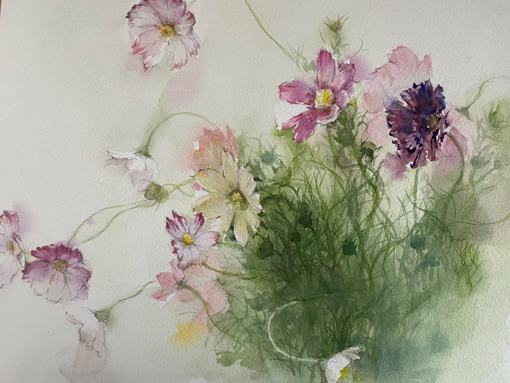 透明水彩画で描く 季節の花の水彩画｜多摩南大沢カルチャーセンター