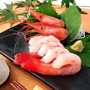 山陰の甘エビ（冷凍）Lサイズ 500g 最もおいしい時期の大粒甘えび 甘
