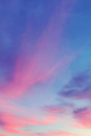 山崎美弥子 - Miyako YAMAZAKI | shashasha 写々者 - 写真集とアートブック