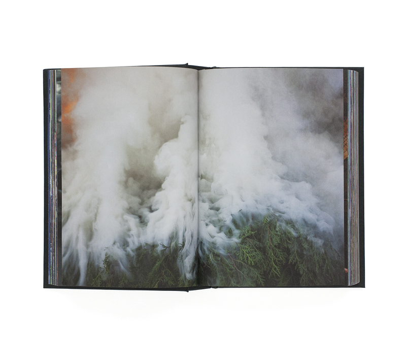 グレート・ザ・歌舞伎町 写真集 - グレート・ザ・歌舞伎町 | shashasha