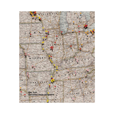 Gathered Leaves Annotated - アレック・ソス | shashasha 写々者