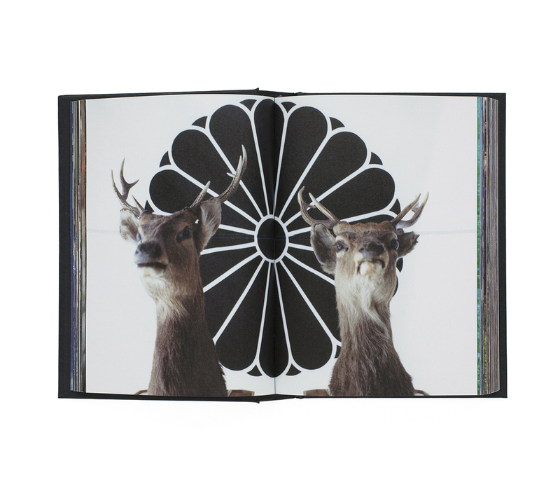 グレート・ザ・歌舞伎町 写真集 - グレート・ザ・歌舞伎町 | shashasha